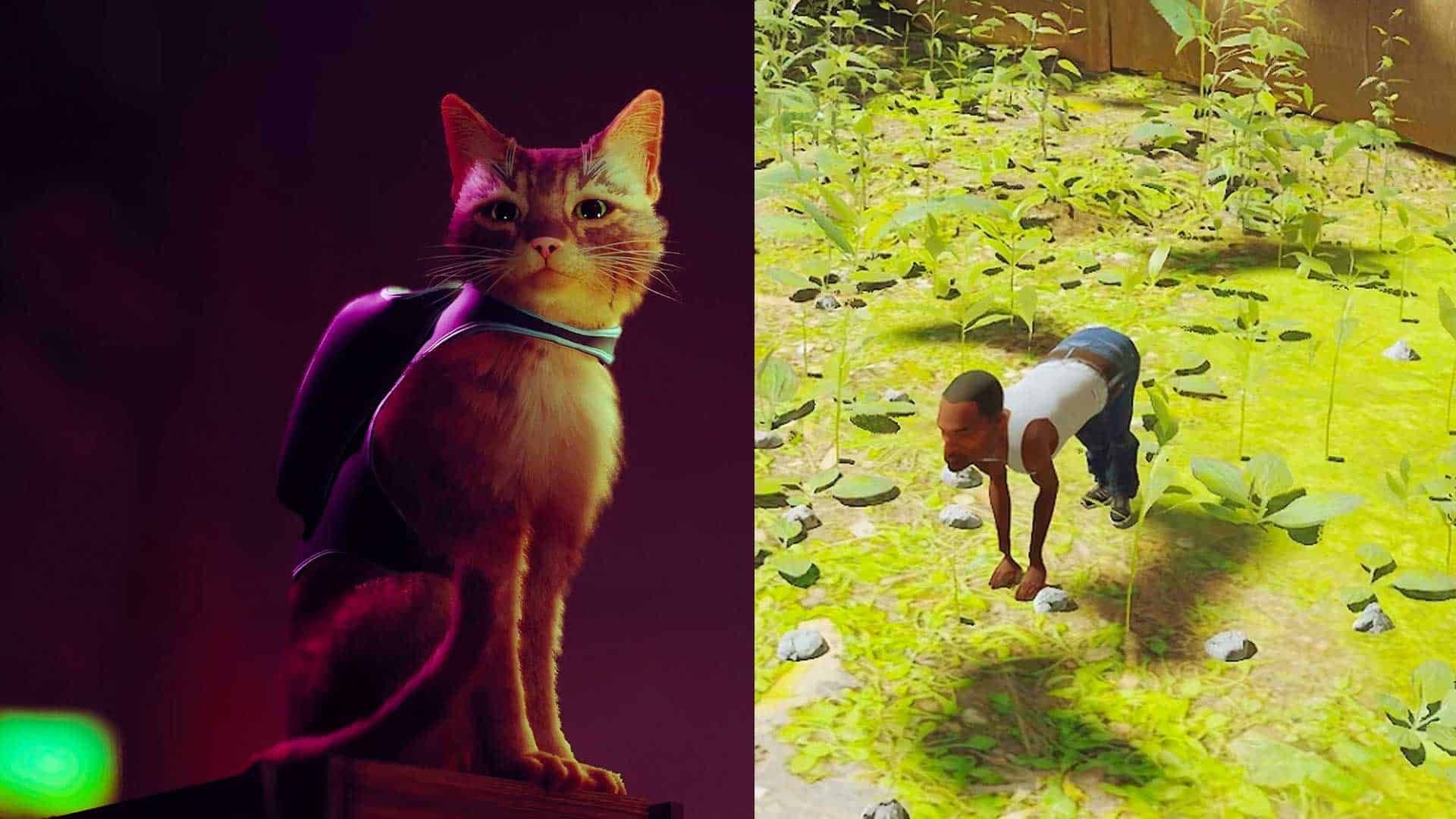 ماد فان بازی