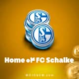 مهره FC Schalke 04 Home ساکر استارز (Soocer Stars)
